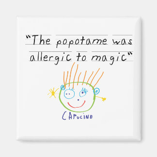 ポポタメ磁石 マグネット