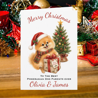 ポメラニアンのお父さんお母さんへのクリスマスカード カード