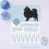 ポメラニアンの子犬販売中 ブルー チラシ (シングル)