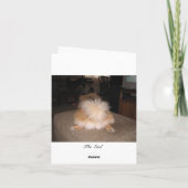 ポメラニアンの感謝のメモカード サンキューカード (裏面)