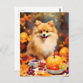 ポメラニアンの秋の感謝祭 ポストカード (正面/裏面)
