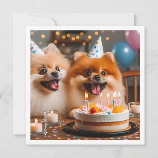 ポメラニアンの誕生日カード、ポメラニアン、ポメラニアン 招待状 (正面)