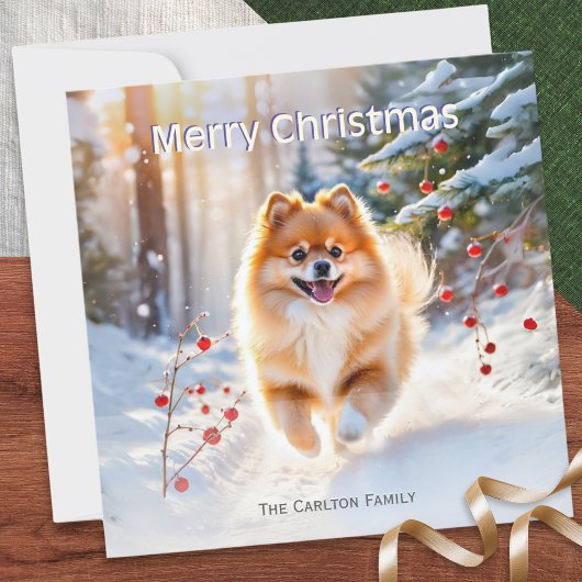 ポメラニアンの雪景色の写真 メリークリスマス シーズンカード