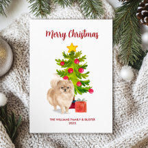 ポメラニアンクリスマスカード