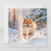 ポメラニアン犬の雪の写真　メリークリスマス シーズンカード (正面)