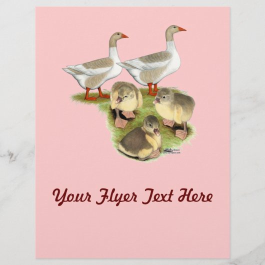 ポメラニアン・グースファミリー チラシ (正面)