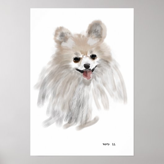 ポメラニアン ポスター (正面)