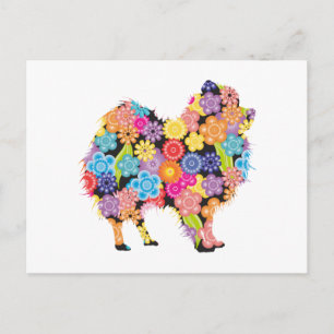 ポメラニアン ポストカード