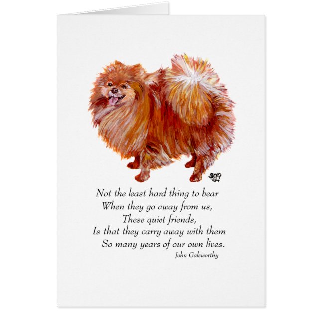 ポメラニアン レインボーブリッジ (正面)