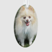 ポメラニア犬のアクリルのオーナメント オーナメント (正面)