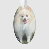 ポメラニア犬のアクリルのオーナメント オーナメント (正面)