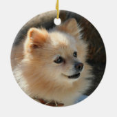 ポメラニア犬のオーナメント セラミックオーナメント (裏面)