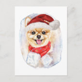 ポメラニア犬のクリスマスプレゼントを愛犬に シーズンポストカード (正面)
