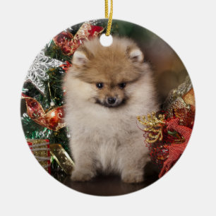 ポメラニア犬のスピッツ、クリスマスの子犬 セラミックオーナメント