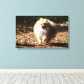 ポメラニア犬のトロ落ちたッ葉ト キャンバスプリント (インサイチュ (ウッドフロア))