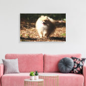 ポメラニア犬のトロ落ちたッ葉ト キャンバスプリント (インサイチュ (リビング))