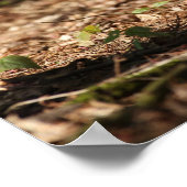 ポメラニア犬のトロ落ちたッ葉ト ポスター (角)