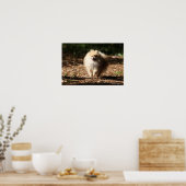 ポメラニア犬のトロ落ちたッ葉ト ポスター (キッチン)