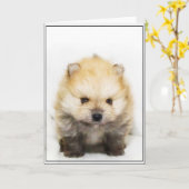 ポメラニア犬のパピーのグリーティングカード カード (黄色い花)
