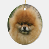 ポメラニア犬のヘッドショットがカメラを見る セラミックオーナメント (左)