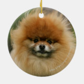 ポメラニア犬のヘッドショットがカメラを見る セラミックオーナメント (裏面)