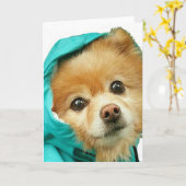 ポメラニア犬のレインコート# カード (黄色い花)