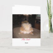 ポメラニア犬の休日カード シーズンカード (裏面)