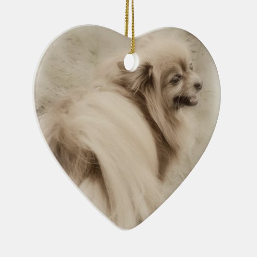 ポメラニア犬の写真-夢みるようなPom セラミックオーナメント (右)