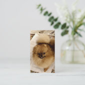 ポメラニア犬の名刺 名刺 (スタンド正面)