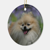 ポメラニア犬の喘ぐこと セラミックオーナメント (左)
