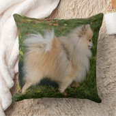 ポメラニア犬の地位 クッション (ブランケット)