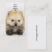 ポメラニア犬の子犬の名刺 名刺 (正面/裏面)