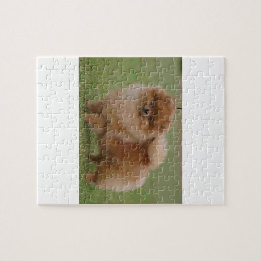 ポメラニア犬の完全さ、 ジグソーパズル (横)