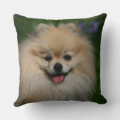 ポメラニア犬の微笑 クッション (裏面)