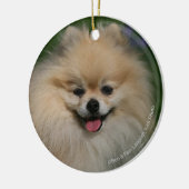 ポメラニア犬の微笑 セラミックオーナメント (左)