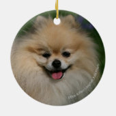 ポメラニア犬の微笑 セラミックオーナメント (裏面)