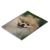 ポメラニア犬の微笑 ノートブック (左側)