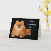 ポメラニア犬の挨拶状 カード (黄色い花)