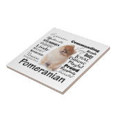 ポメラニア犬の特性のセラミックタイル タイル (側面)