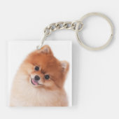 ポメラニア犬の特性Keychain キーホルダー (裏面)