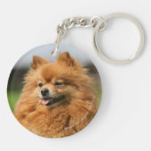 ポメラニア犬の監視 キーホルダー (裏面)