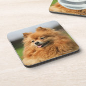 ポメラニア犬の監視 コースター (左側)