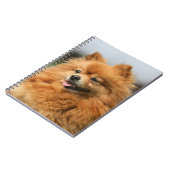 ポメラニア犬の監視 ノートブック (左側)