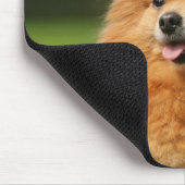 ポメラニア犬の監視 マウスパッド (コーナー)