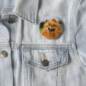 ポメラニア犬の監視 缶バッジ (インサイチュ)