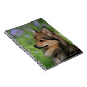 ポメラニア犬のHeadshotのモデル ノートブック (右側)