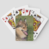 ポメラニア犬のHeadshotの喘ぐこと トランプ (裏面)