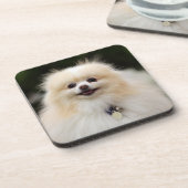 ポメラニア犬のHeadshot 1 コースター (左側)