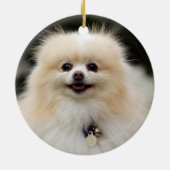 ポメラニア犬のHeadshot 1 セラミックオーナメント (裏面)