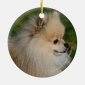 ポメラニア犬のHeadshot 2 セラミックオーナメント (裏面)